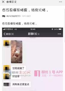 猪瘟最新爆料视频,揭秘病毒传播真相与防控措施  第2张