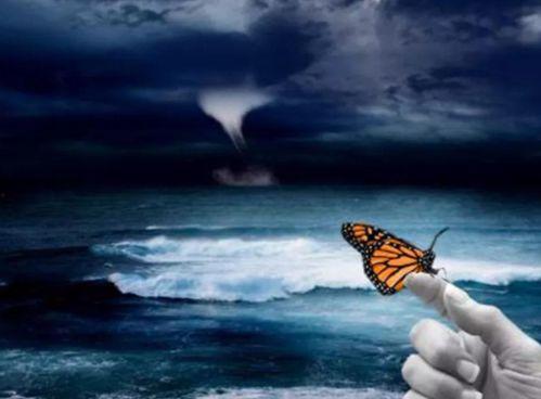 蝴蝶效应 在线观看,揭秘微小变化如何引发巨大连锁反应  第1张